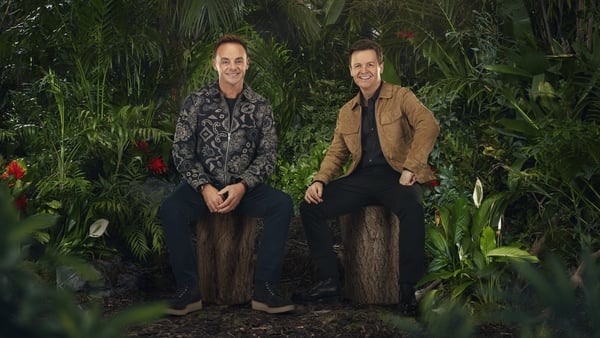 Ant and Dec joke about Rooney-Vardy trial as I'm A Celeb 2024 kicks off